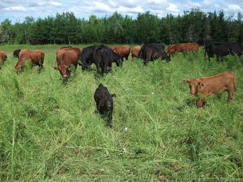 Angus East Organics